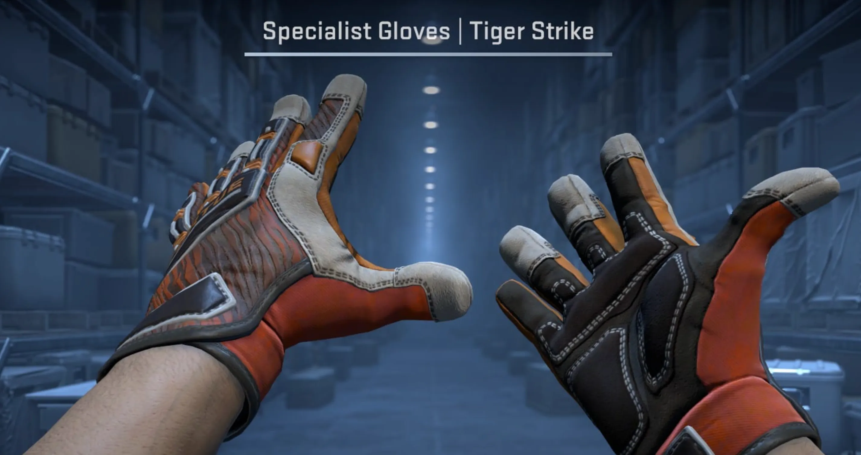 Specialist Gloves Tiger Strike